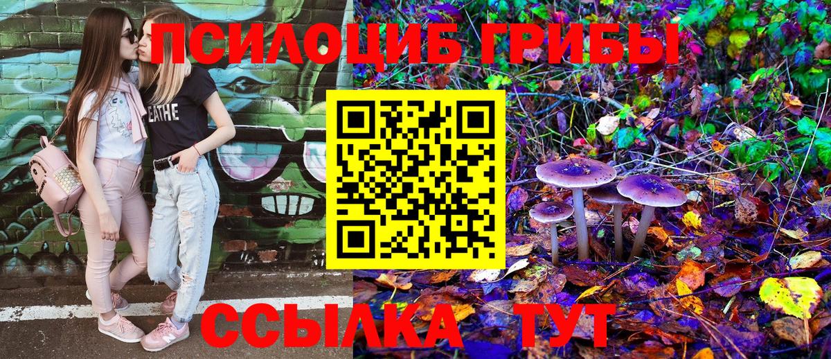 Ржев  Псилоцибиновые грибы Cubensis  Псилоцибиновые грибы MAGIC MUSHROOMS  Вход с VPN 